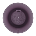 june tulip 47cm vintage circuela